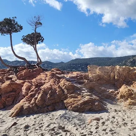 Grand T2 Et Jardin Proche Plages